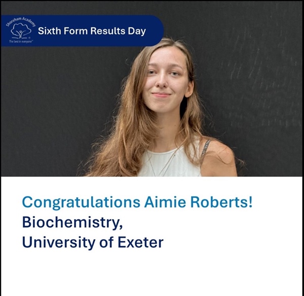 A Levels provide another cause for celebration at Shoreham Academy